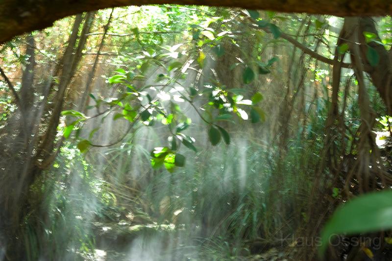_MG_8815.jpg