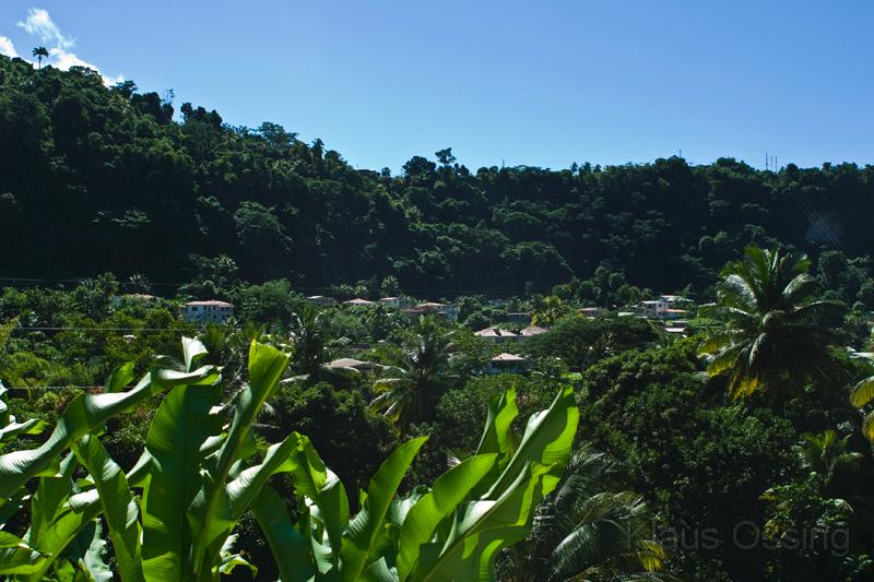 _MG_8823.jpg